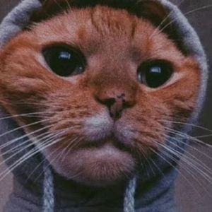 Meet your Posher, Jęff